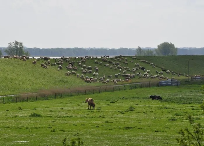 Apartamento Krautsand